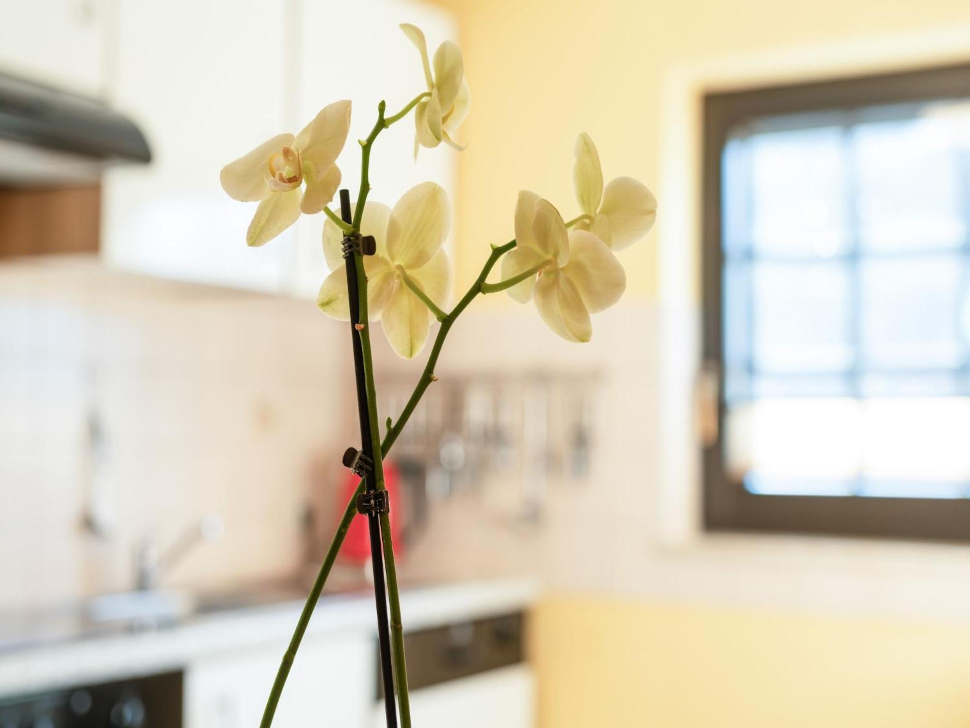 A Modern Apartment In The Hunsr Ck Region S Romantic Drohn Valley Merschbach Екстериор снимка